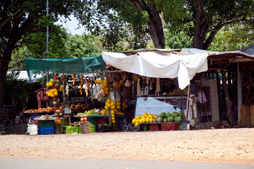 Fruit stand