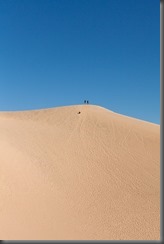 the big dune (1 of 1)