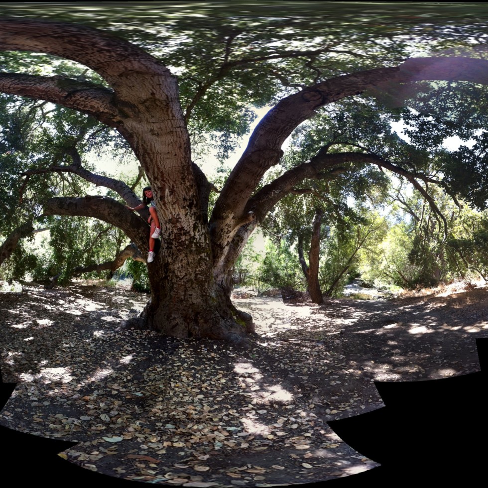 Lena in a tree in Sunol